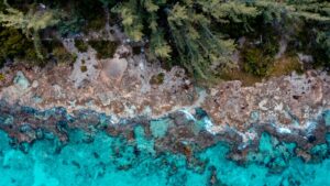 ocean-lot-cozumel