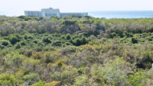 suites-cozumel109-21