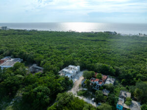 akbal-tzolkincozumel-03