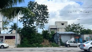 Land-cozumel