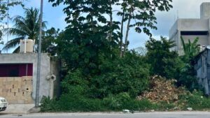 Land-cozumel