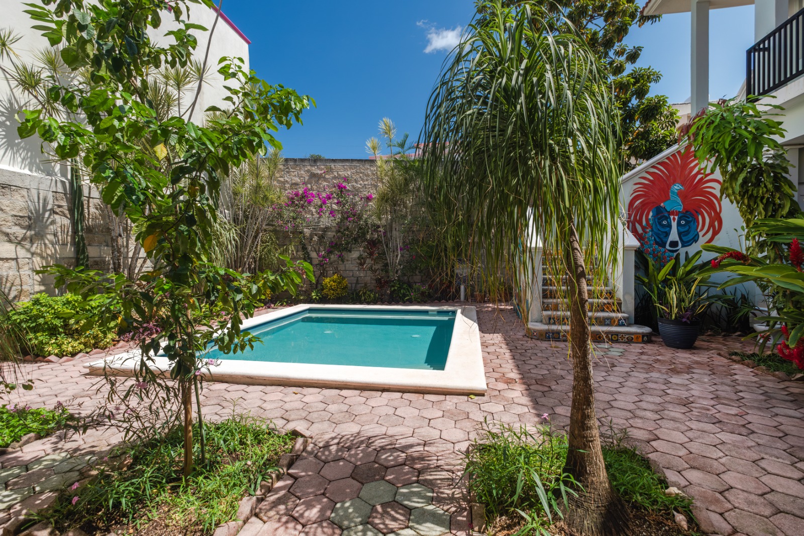 casa-oso-newsletter-01