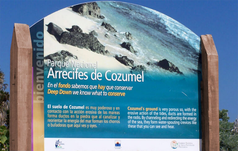 cozumel-arrecifes-parque-submarino-1 (1)