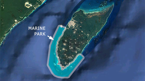 cozumel-marine-map (1)