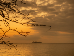 cozumel-realestate