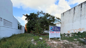 calle12cozumel-13