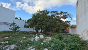calle12cozumel-15