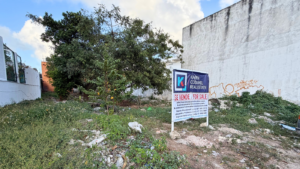 calle12cozumel-16
