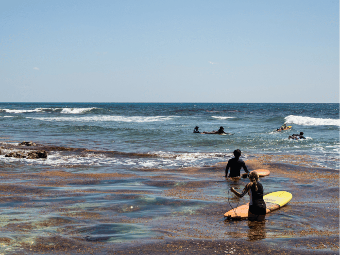 surf-cozumel-