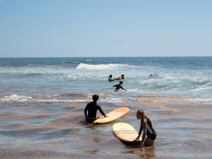 surf-cozumel-