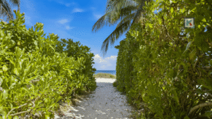 hacienda-monte-cristo-cozumel
