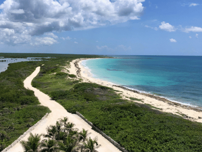 Tortuga-cozumel-