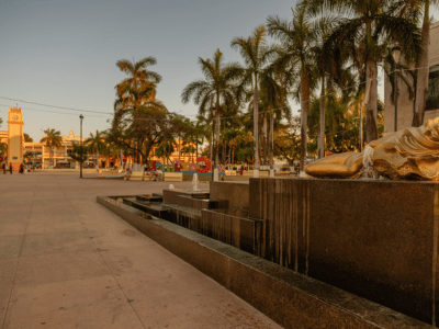 casa-oso-cozumel-newsletter