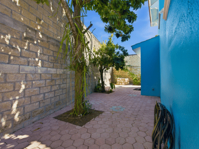 casa-oso-cozumel-newsletter