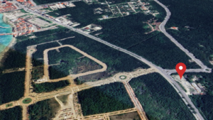 anamaya