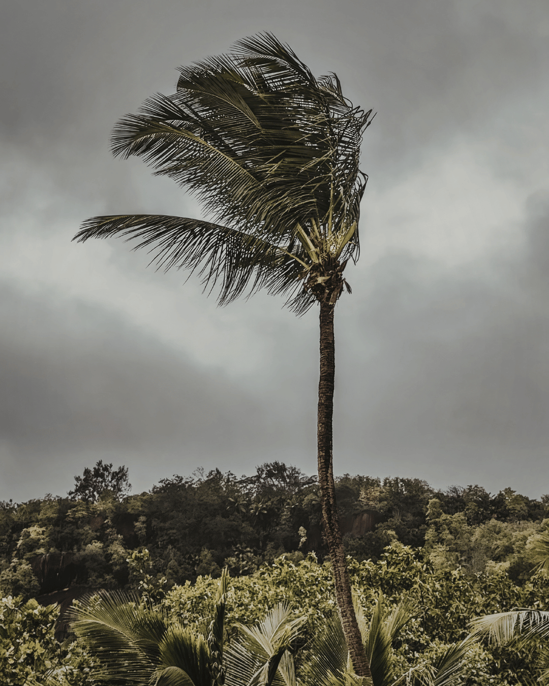 hurricane