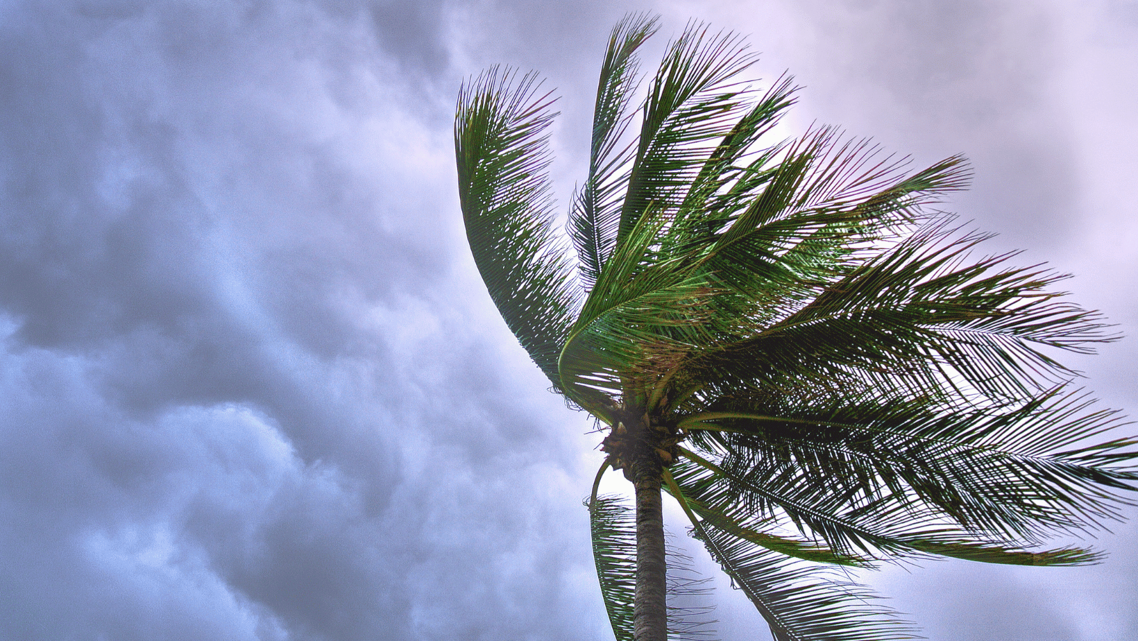 hurricane-season-cozumel