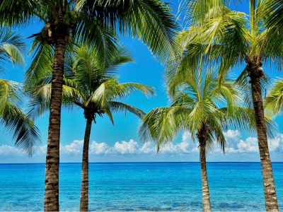 cozumel-real-estate