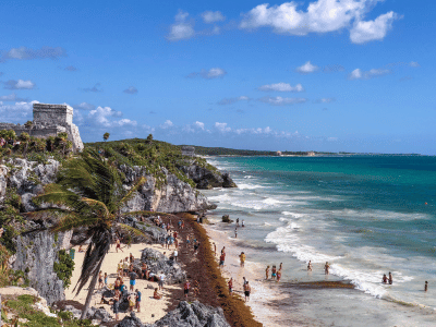 tulum-sargassum