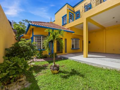 The-yellow-cozumel-house-newsletter