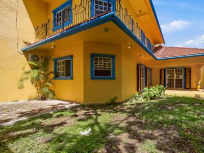 the-yellow-house