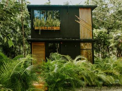ecohome-cozumel-newsletter