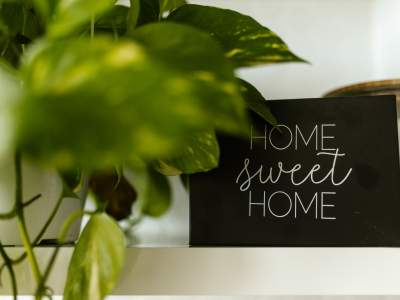 eco-home-newsletter