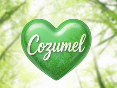 eco-home-cozumel-newsletter