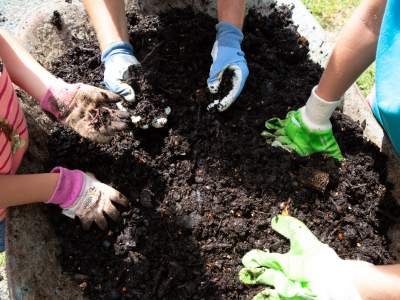 ecohome-cozumel-newsletter