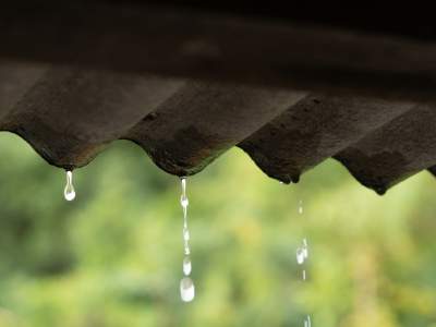 eco-house-newsletter
