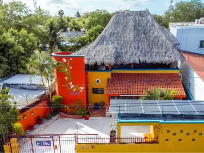 eco-house-newsletter
