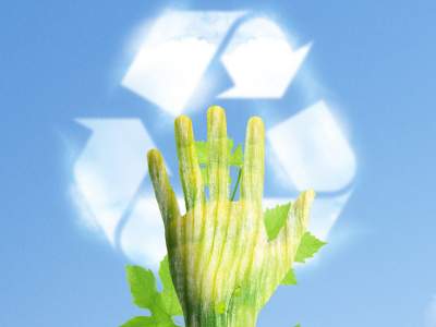 ecohome-cozumel-newsletter