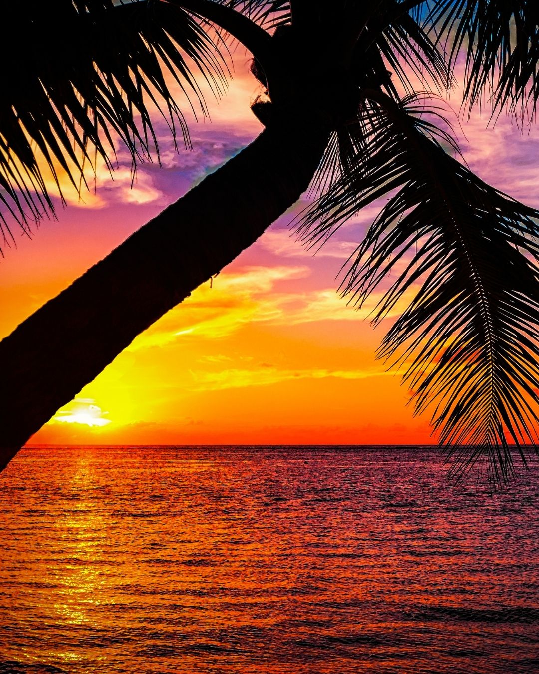 cozumel-spring-newsletter