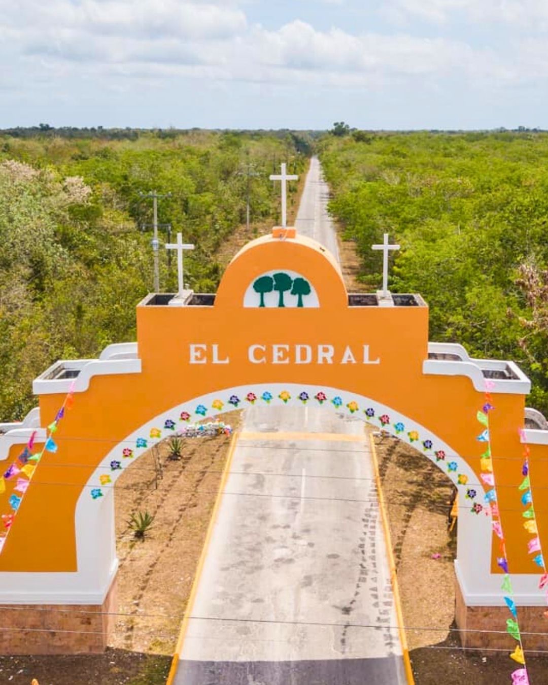 cedral-newsletter