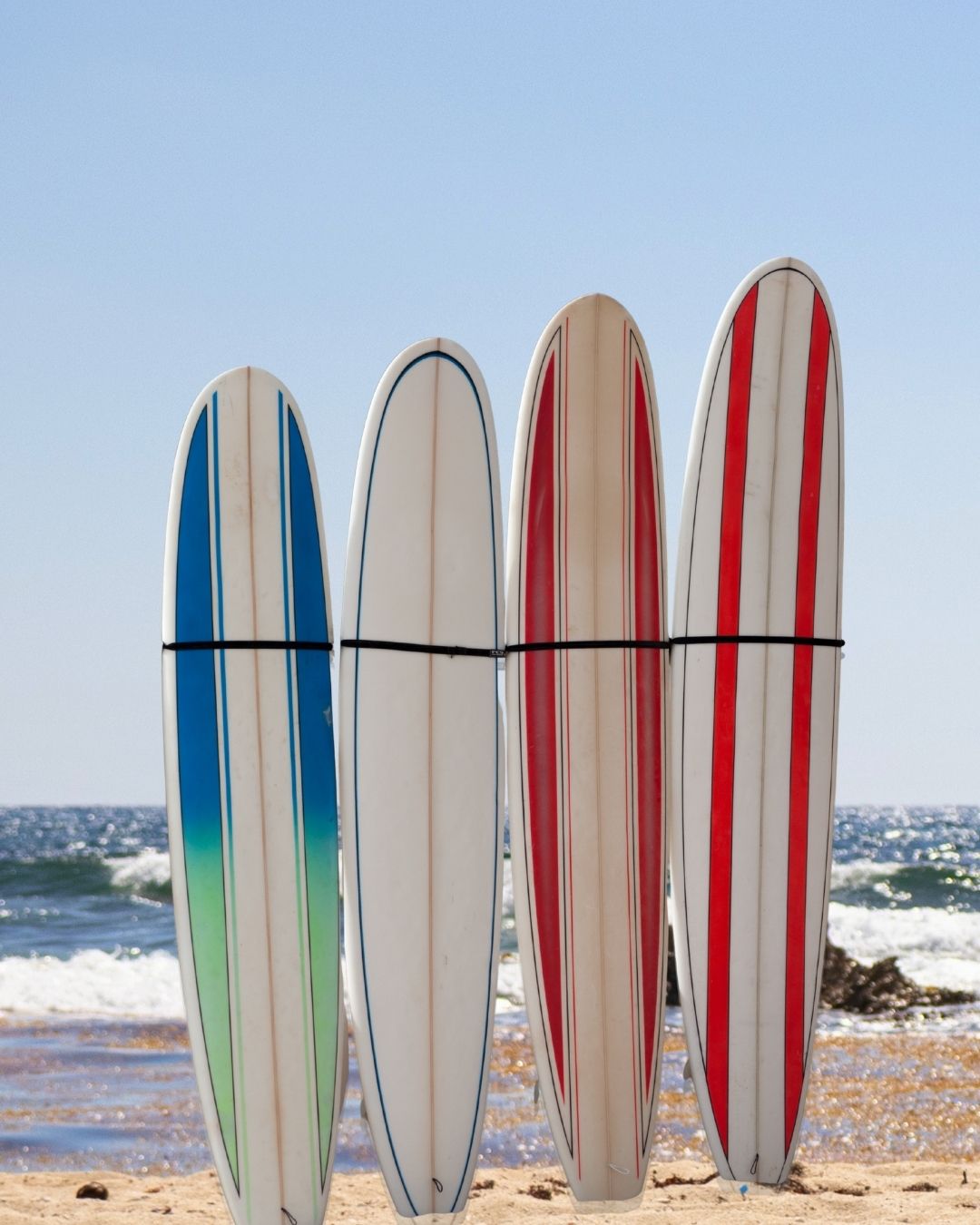 surf-newsletter