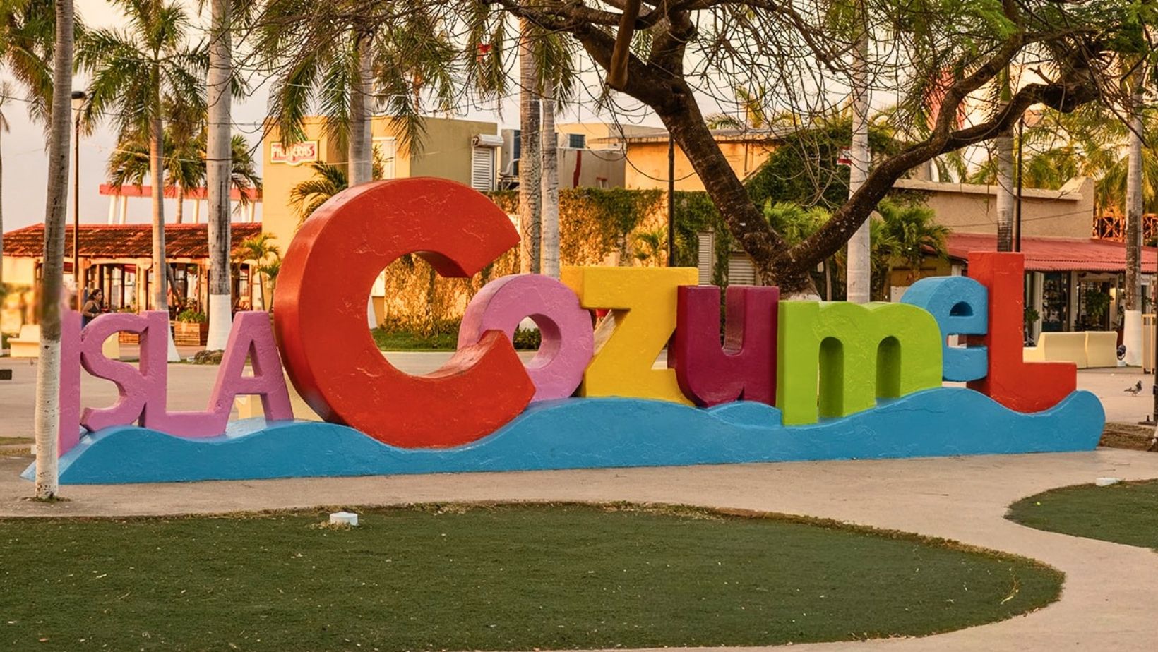 cozumel-work-newsletter