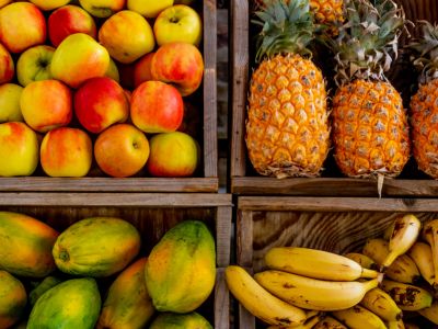 grocery-newsletter
